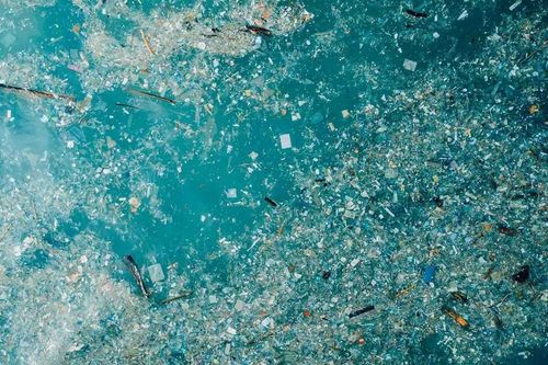 27 triệu tấn nhựa trôi nổi ở Bắc Đại Tây Dương