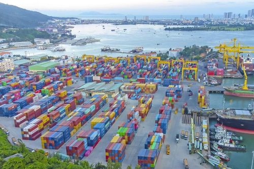 Lợi nhuận doanh nghiệp cảng biển: Kẻ thắng lớn, người ngậm ngùi