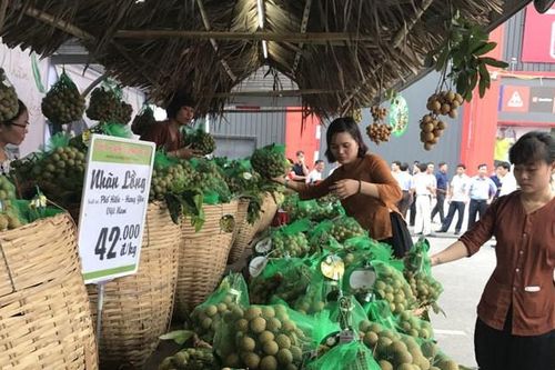 Nhãn lồng là đặc sản nổi tiếng của tỉnh nào?