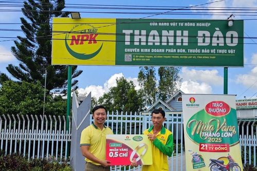 Nhà nông 'Mùa Vàng Thắng Lớn' cùng phân bón NPK Cà Mau