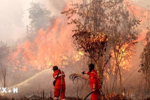 Indonesia: Kích hoạt mưa nhân tạo nhằm dập tắt cháy rừng