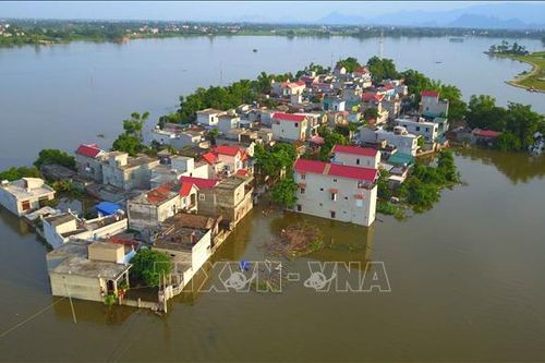 Hà Nội: Mưa to, mực nước sông Tích lên cao mức báo động 1