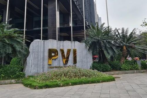 Soi danh mục đầu tư 17.600 tỷ đồng của Bảo hiểm PVI