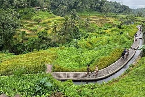 Bay thẳng từ Việt Nam đến Bali: Mở lối khám phá thiên đường du lịch Indonesia