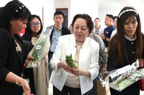 TPHCM và Lâm Đồng thúc đẩy hợp tác chiến lược, đảm bảo nguồn cung nông sản an toàn
