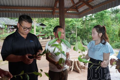 Lan tỏa việc học và làm theo Bác