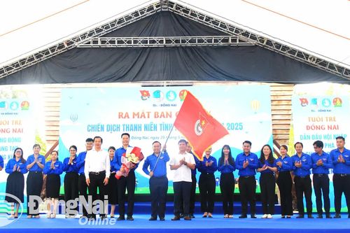 Sức trẻ tình nguyện