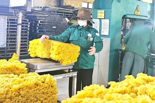 Ngày 26-7, giá cao su thế giới tăng vọt trên các sàn giao dịch