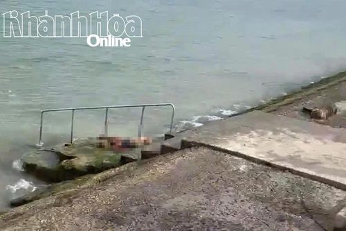 Phát hiện thi thể người đàn ông trôi dạt trên biển Nha Trang