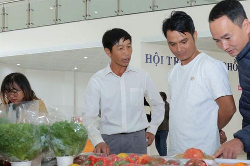 Lâm Đồng cung cấp 90% sản lượng rau, củ, quả an toàn tiêu thụ tại TP Hồ Chí Minh
