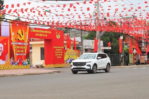 Đường phố rực rỡ cờ hoa chào mừng Đại hội Đại biểu Đảng bộ Phường 2 Bảo Lộc lần thứ I
