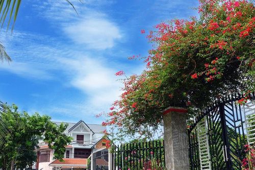 Hướng đến Đại hội Đại biểu Đảng bộ xã Hàm Thuận Nam lần thứ I, nhiệm kỳ 2025-2030: Mở thêm 'không gian' cho kinh tế tư nhân