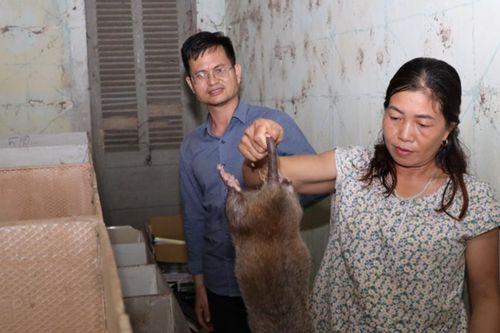 Nữ nông dân người Thái và cơ nghiệp tiền tỷ từ con dúi