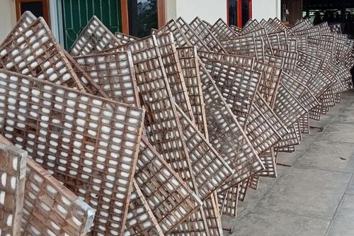 Gieo ước mơ trên những mùa dâu xanh lá