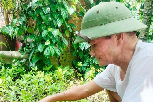 Người lính lái xe trên đường Trường Sơn huyền thoại