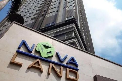 Một thành viên HĐQT Novaland từ nhiệm sau 3 tháng