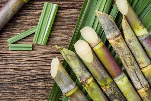 Thị trường chịu áp lực dư cung, Mía Đường Sơn La (SLS) báo lãi sau thuế giảm 59%