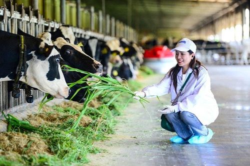 Vinamilk 'mở khóa tự nhiên' tại Green Farm: Mô hình sinh thái truyền cảm hứng đến cộng đồng doanh nghiệp