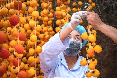 Lâm Đồng là nguồn cung rau xanh, thịt và thủy sản an toàn chủ lực cho TPHCM