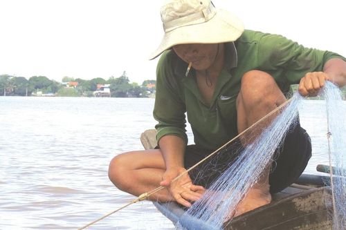 Đỏ mắt chờ mùa nước nổi