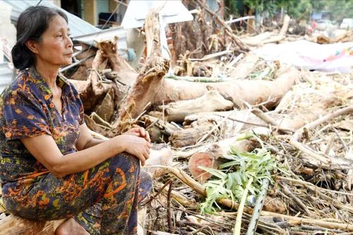 Những hình ảnh nhói lòng ở miền Tây Nghệ An