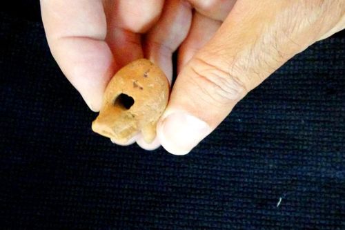 Còi 2.000 năm tuổi tìm thấy trong mộ cổ khiến thế giới sửng sốt