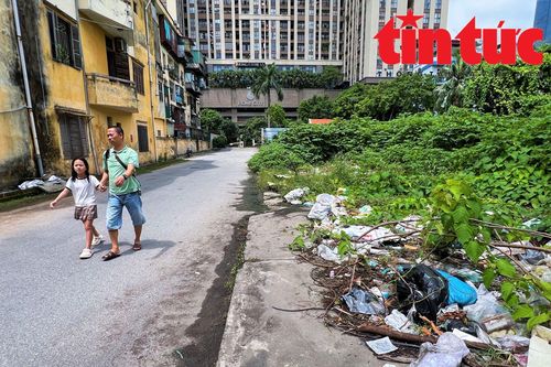 Đất quy hoạch làm trường học tại Hà Nội bị bỏ hoang, đổ trộm rác thải