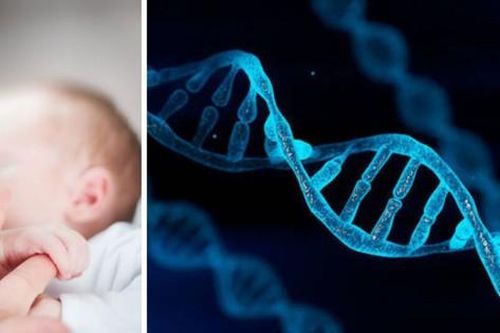 Sử dụng DNA của 3 người để tránh bệnh di truyền cho trẻ sơ sinh