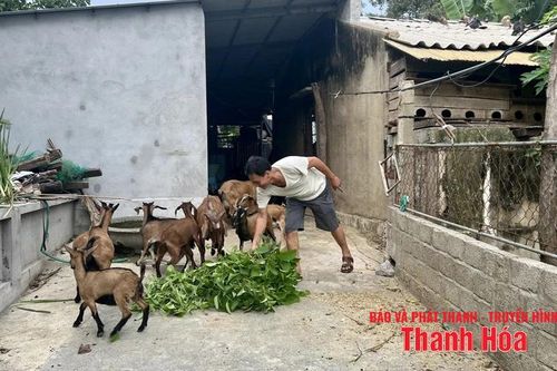 Sống là để tiếp tục cống hiến