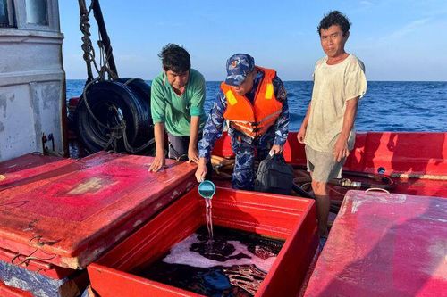 Bộ Tư lệnh Vùng Cảnh sát biển 4 bắt giữ tàu cá vận chuyển trái phép hơn 40.000 lít dầu DO