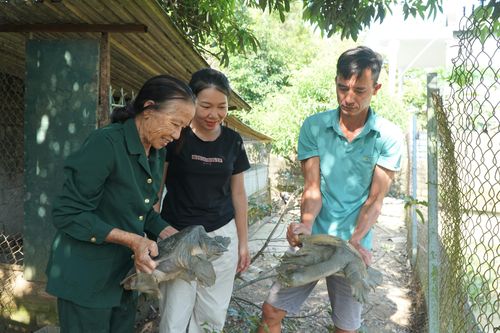 Thương binh tàn nhưng không phế