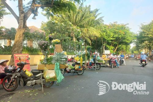 Khắp nơi trong tỉnh tối 27-7-2025