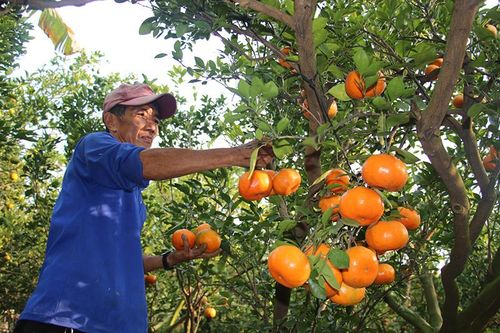 Nhiều giải pháp và tầm nhìn dài hạn trong phát triển kinh tế - xã hội