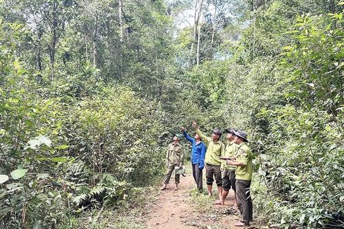 Giao khoán rừng cho dân: Gắn trách nhiệm, giữ màu xanh