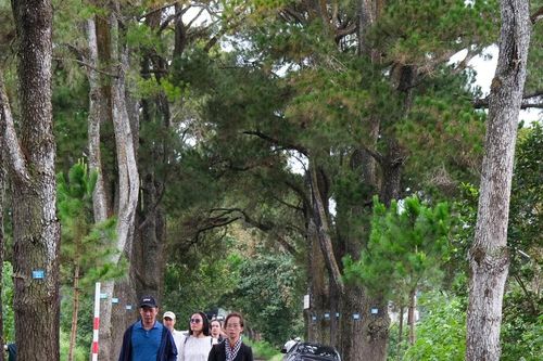 Từ đại ngàn đến biển xanh: Hành trình gắn kết qua Famtrip Gia Lai