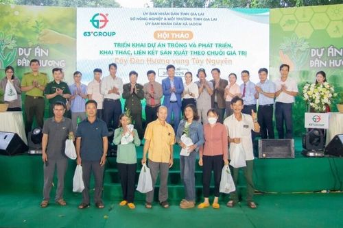 Phát động dự án trồng 100 triệu cây đàn hương trên vùng Tây Nguyên