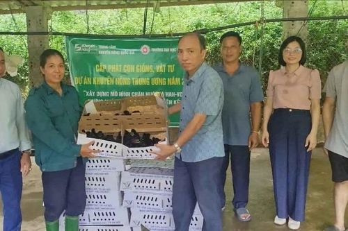 Hỗ trợ giống và vật tư cho mô hình chăn nuôi gà đạt chuẩn VietGAHP