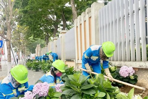Đảng bộ Công ty Cổ phần Môi trường và Dịch vụ đô thị Việt Trì: Gắn lãnh đạo với xây dựng đô thị xanh, sạch, văn minh