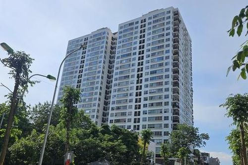 Ứng xử thế nào với hệ bao che công trình trước tác động của gió bão?