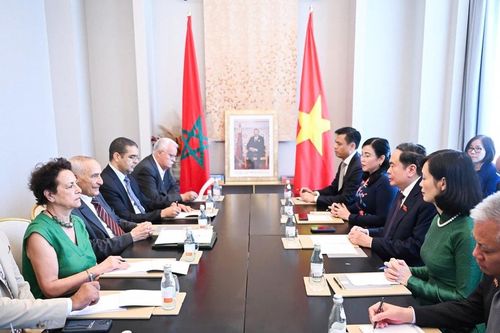 Chủ tịch Quốc hội Trần Thanh Mẫn tiếp Chủ tịch Hội hữu nghị Morocco - Việt Nam