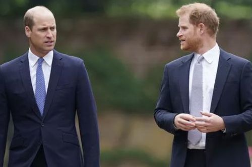 Sự thật ít ai ngờ: William và Harry không thừa kế nơi mẹ yên nghỉ!
