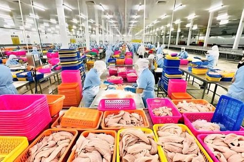 Ngành thủy sản và dấu ấn thị trường Singapore