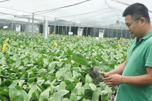 Tháo gỡ cơ chế thu hút đầu tư nông nghiệp