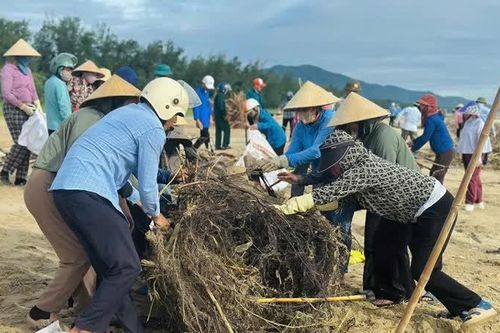 Hà Tĩnh: huy động lực lượng ra quân làm sạch bãi biển