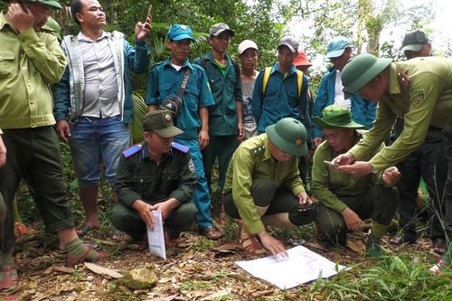 Quản lý, bảo vệ rừng trên không gian số