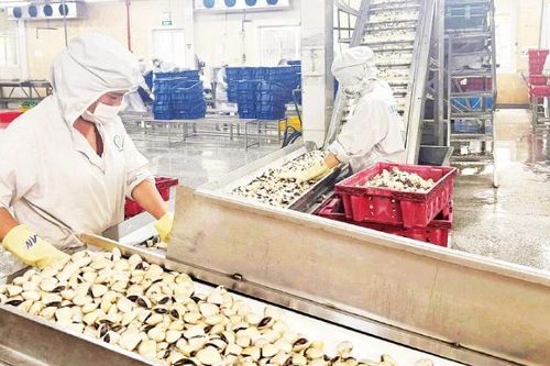 Bảo hiểm nông nghiệp cần hành lang pháp lý rõ ràng