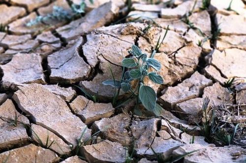 Khủng hoảng nguồn nước ở Trung Á