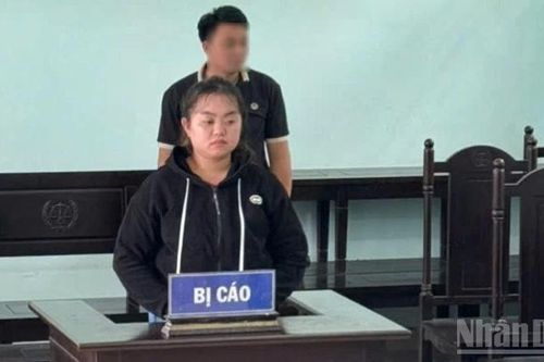 Tuyên phạt bảo mẫu bạo hành trẻ em 12 tháng tù treo