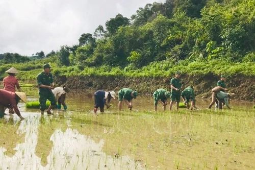 Tình đoàn kết quân dân giữa gian khó vùng lũ ở vùng biên giới Sơn La