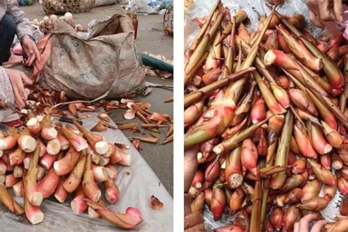 Thứ tưởng bỏ đi hóa 'đặc sản', có tiền chưa chắc mua được